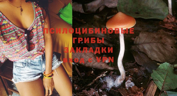 СК Лихославль