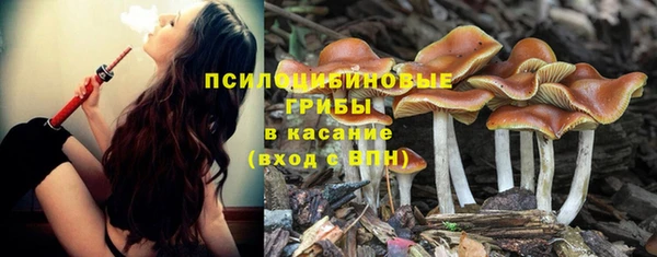 марки lsd Лиски